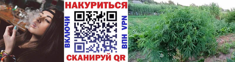 Наркошоп купить СОЛЬ Меф мяу мяу ГАШИШ Инсар